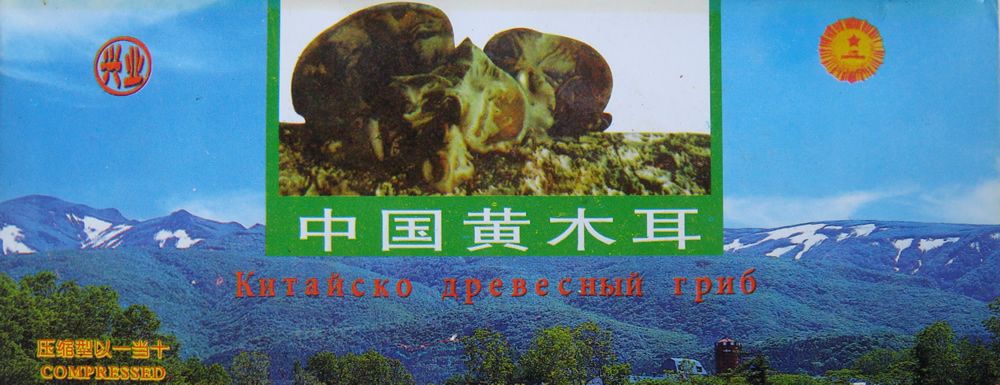 Китайский чёрный древесный гриб