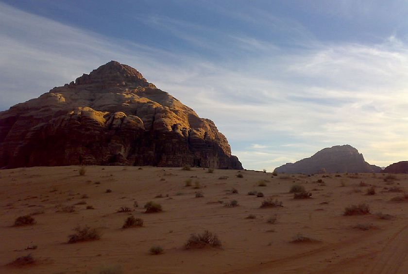 Пустынный кустарник