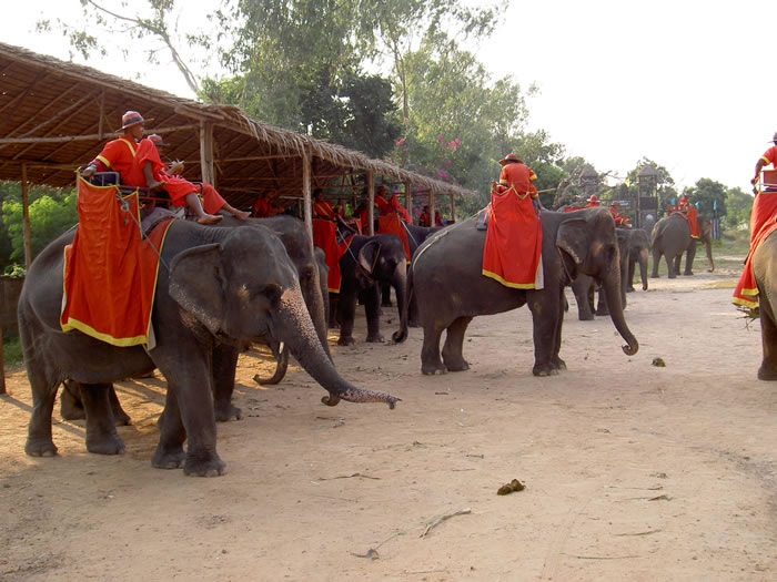 Слоновья деревня